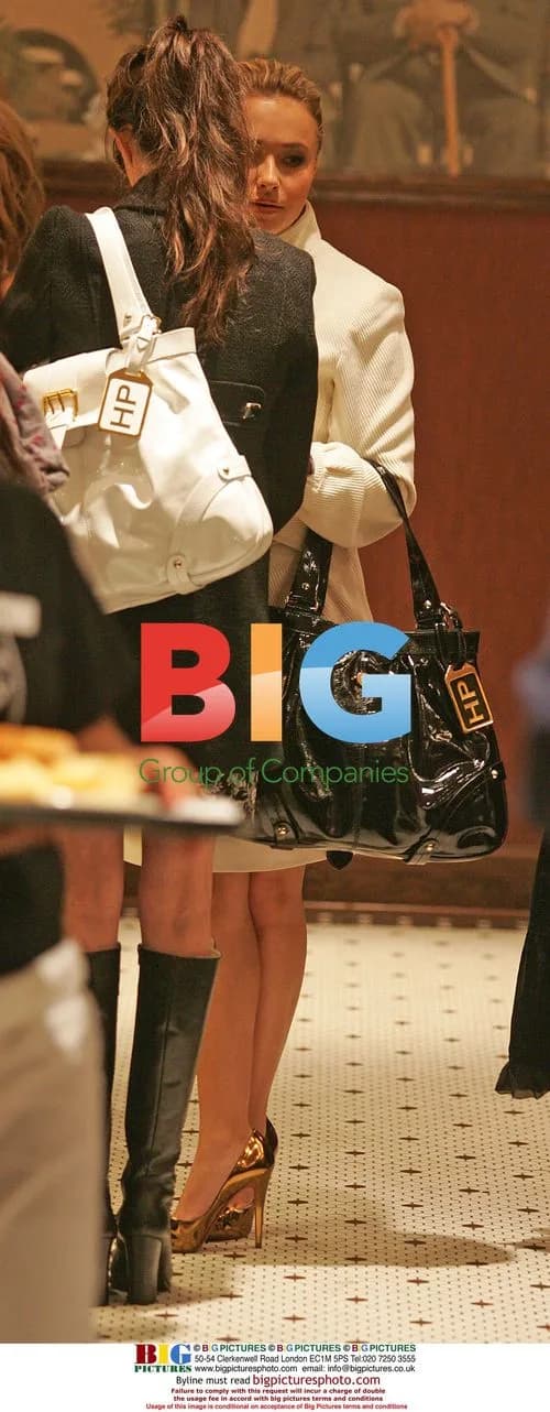 Hayden Panettiere Launches Designer Handbag Line