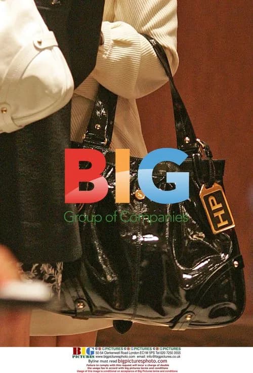 Hayden Panettiere Launches Handbag Line