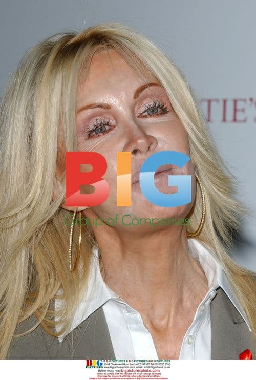 Joan Van Ark at 'Love Letters' Benefit