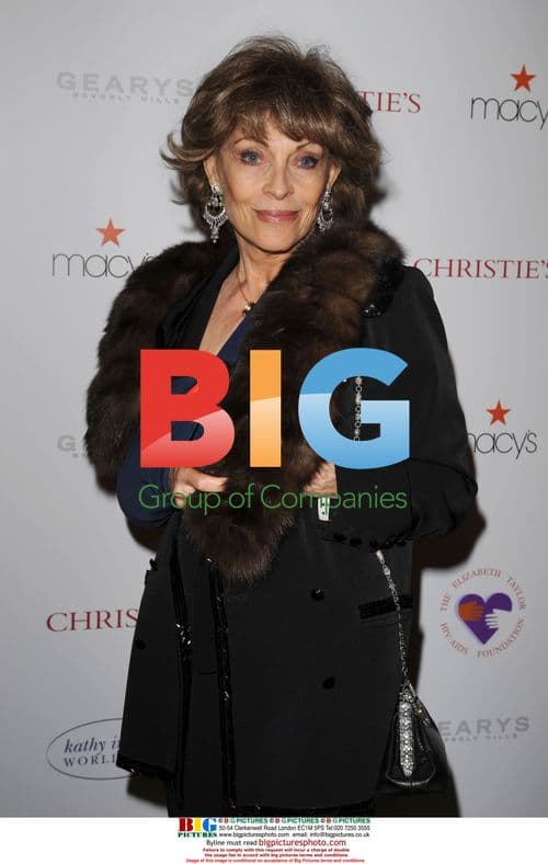 Veronique Passani at 'Love Letters' Benefit