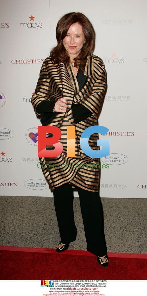 Mary McDonnell at 'Love Letters' Chronicles