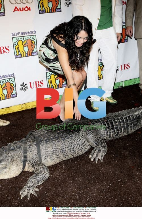 Vanessa Hudgens at Best Buddies Gala