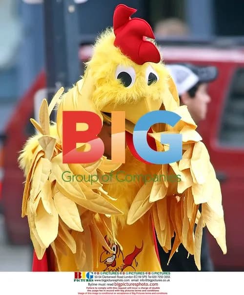 Ashton Kutcher Plays Angry Chicken on Film Set