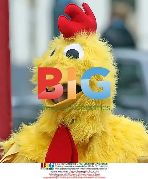 Ashton Kutcher in Chicken Costume