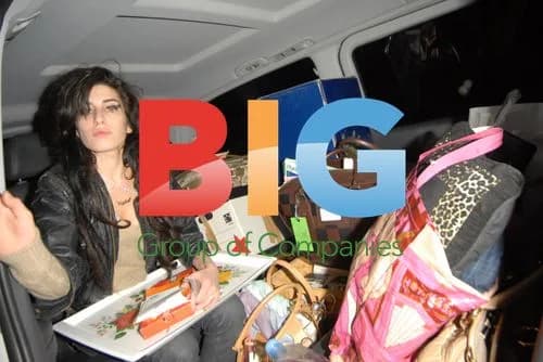 Amy Winehouse Leaving Home With Belongings
