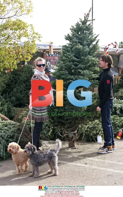 Jerry O'Connell and Rebecca Romijn buy Christmas tree