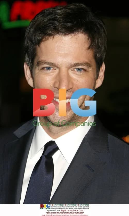 Harry Connick, Jr. at "P.S. I Love You" Premiere