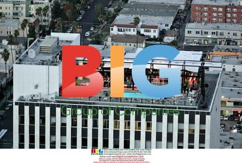 Scott Baio and Renee Sloan Wedding