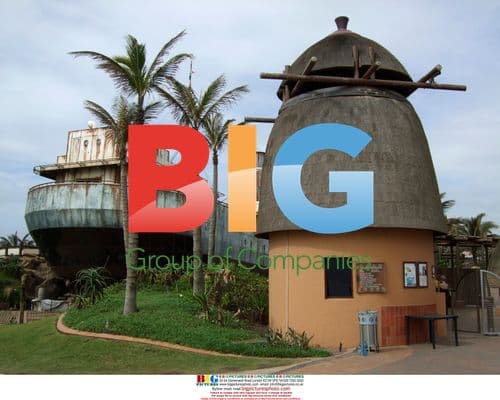 Divers Resuscitate Trapped Tiger Shark in South Africa