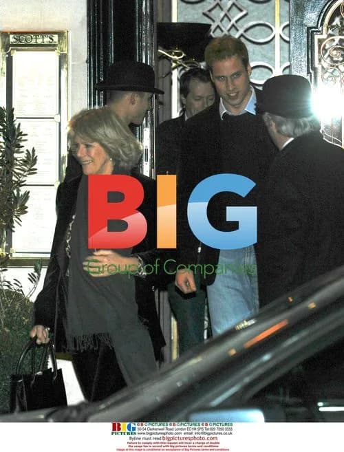 Prince William's night out with stepfamily