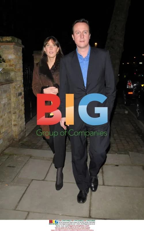 David Cameron and wife attend Christmas party