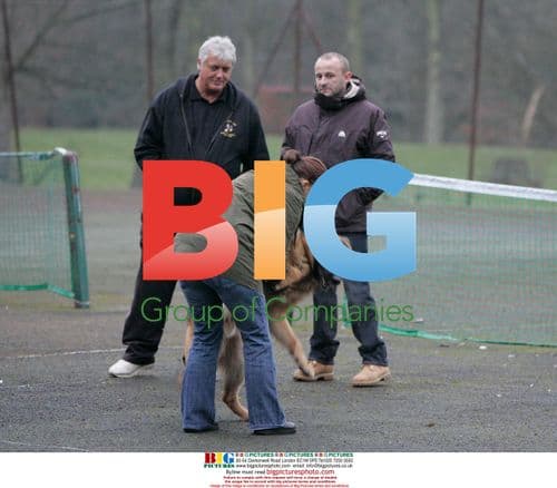 Pregnant Kerry Katona and Mark Croft Train Dog