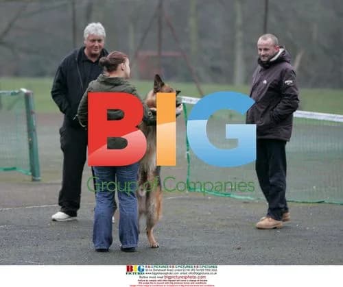 Kerry Katona Seen Training Dog for MTV Show