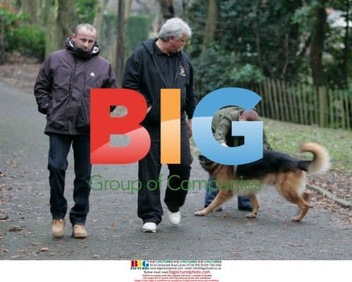 Pregnant Kerry Katona and Husband Mark Croft Train Dog