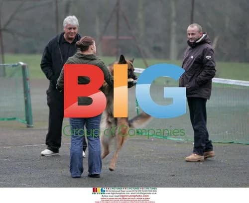 Pregnant Kerry Katona and Husband Training Dog