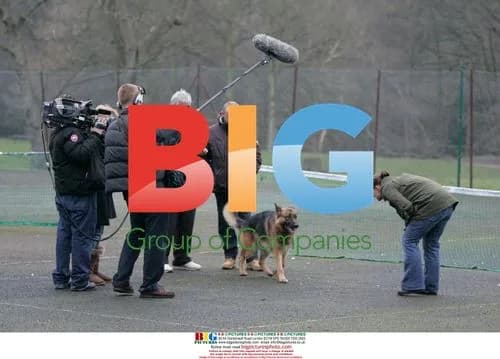 Kerry Katona and Husband Train Dog