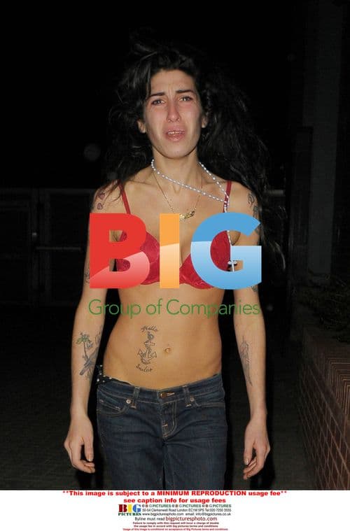 Amy Winehouse's 5:50am 'cry for help'