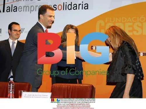 Princes Felipe and Letizia Handing Out Charity Awards