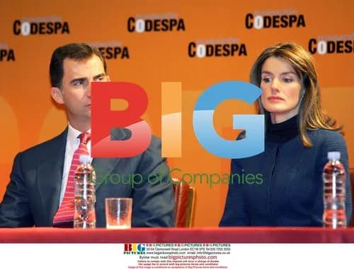 Princes of Asturias Handing Out Codespa Awards