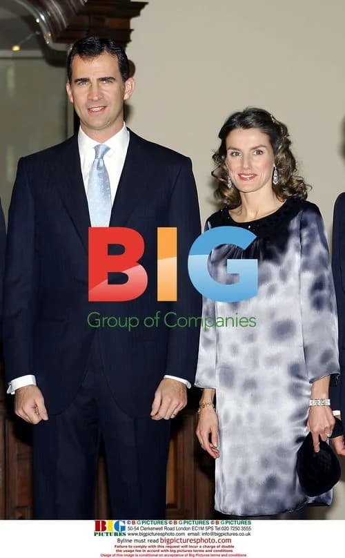 Princes Felipe and Letizia at Businessman Spanish Circle Dinner