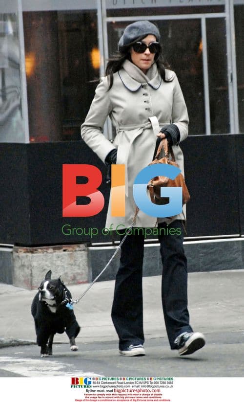 Famke Janssen walks dog in sweater