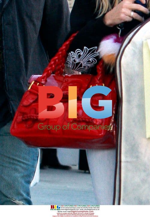 Nicollette Sheridan Christmas Shopping