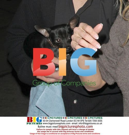 Pamela Anderson and Rick Solomon Leave Club