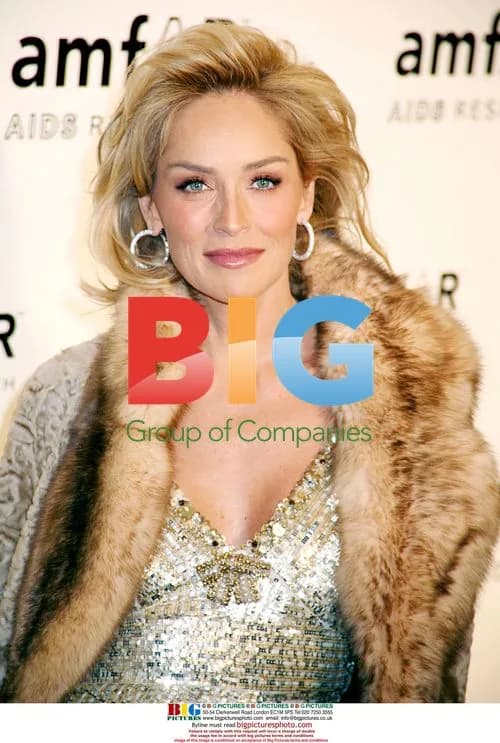 Sharon Stone at amfAR Gala in NYC