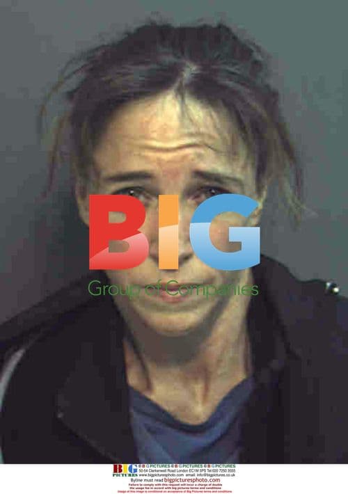 NASA Astronaut Lisa Nowak Mug Shot