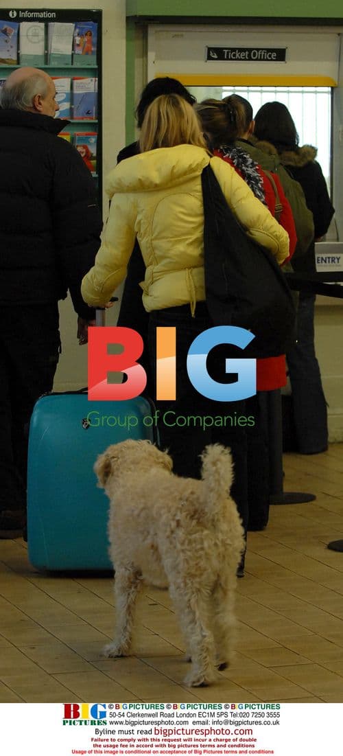 Heather Mills at Hove Station