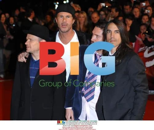Red Hot Chili Peppers at 26th Brit Awards