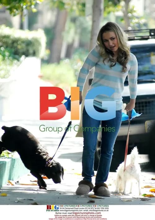 Hayden Panettiere Walks Dogs in West Hollywood