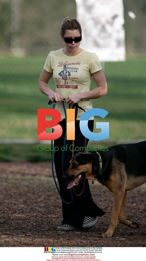 Jessica Biel with dogs in Brentwood