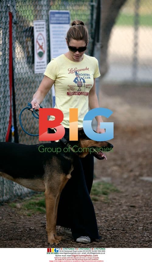 Jessica Biel Takes Dogs to Park