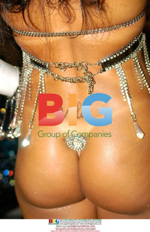 Brazilian Carnival Dancers and Musicians