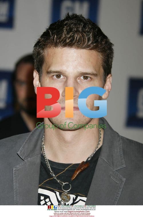 David Boreanaz at GM TEN event