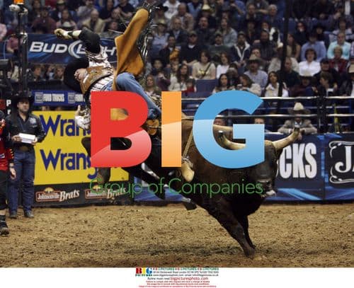 Beau Hill Tossed from Spiderman Bull