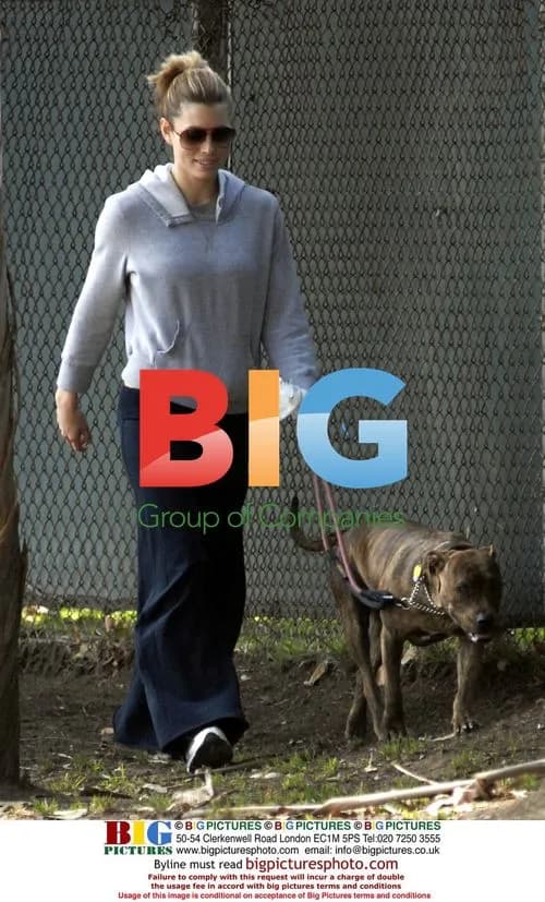 Jessica Biel Walks Dog in Casual Outfit