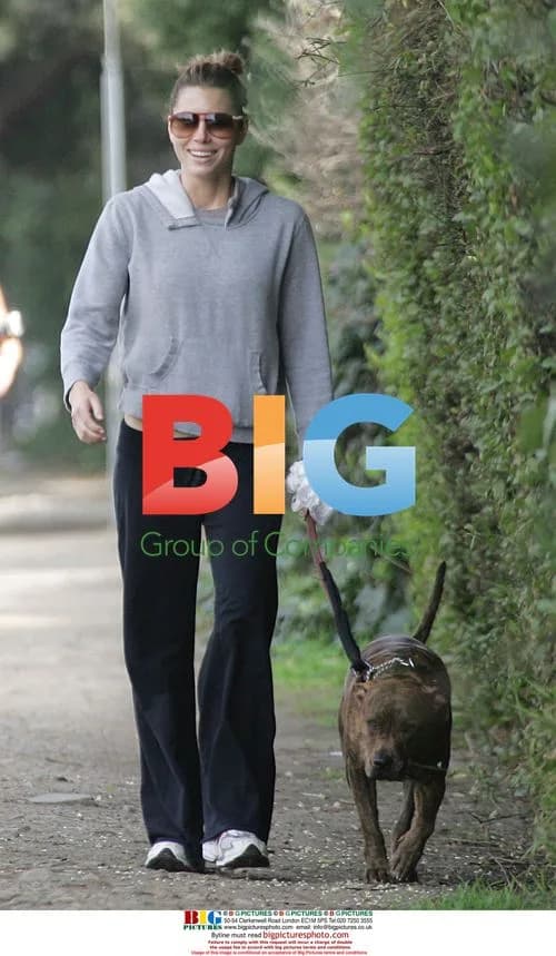 Jessica Biel walks her dog in Brentwood