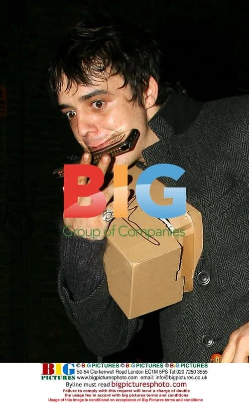 Singer Pete Doherty arrives home