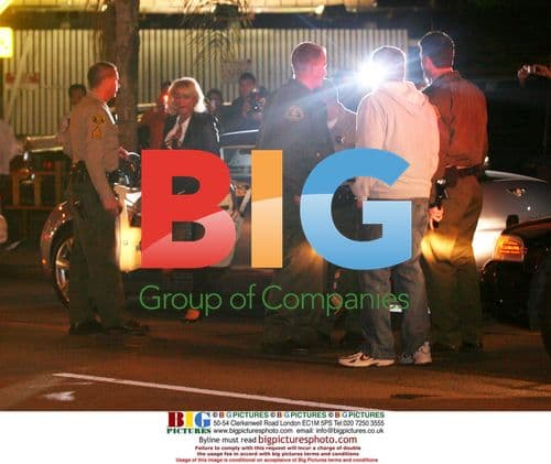 Paris Hilton Pulled Over For Suspended License