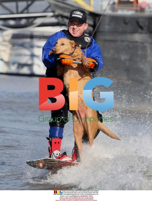 Water Skier and Dog on Mississippi River