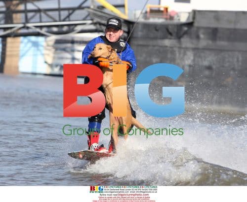 Man and Dog Water Skiing on Mississippi River
