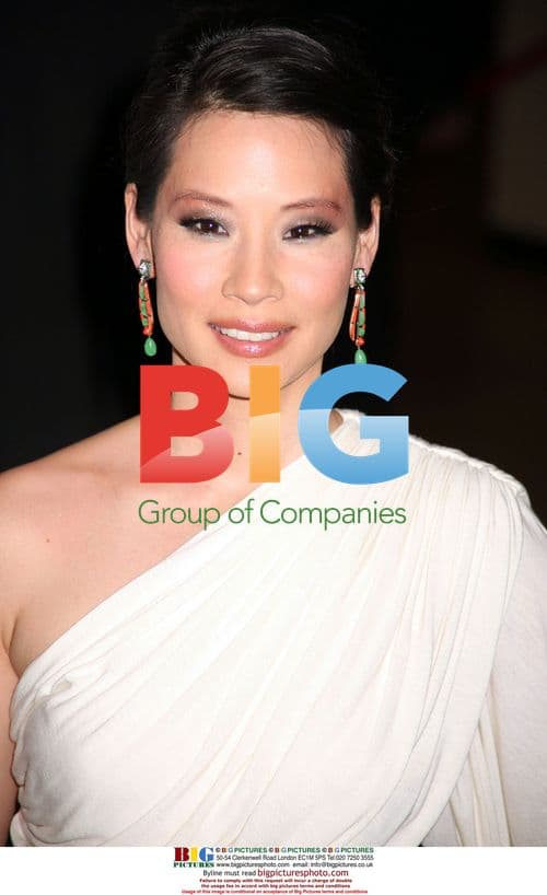 Lucy Liu at 'Code Name: The Cleaner' Premiere