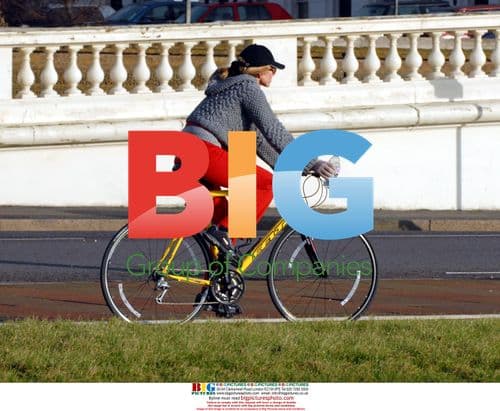 Heather Mills, Trainer, and Dog Ride Seafront