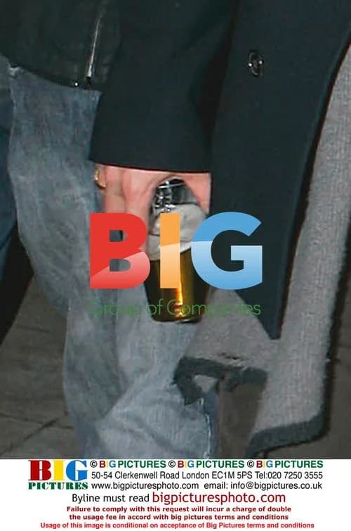 Brangelina Leaving Film Screening