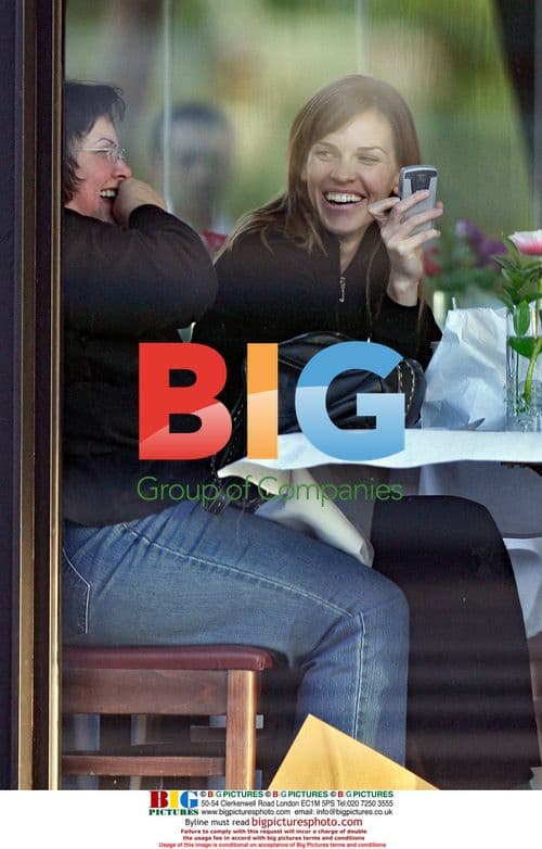 Hilary Swank Smiles During Lunch With Friends