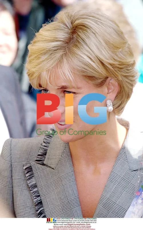 Diana, Princess of Wales Meets Crowds