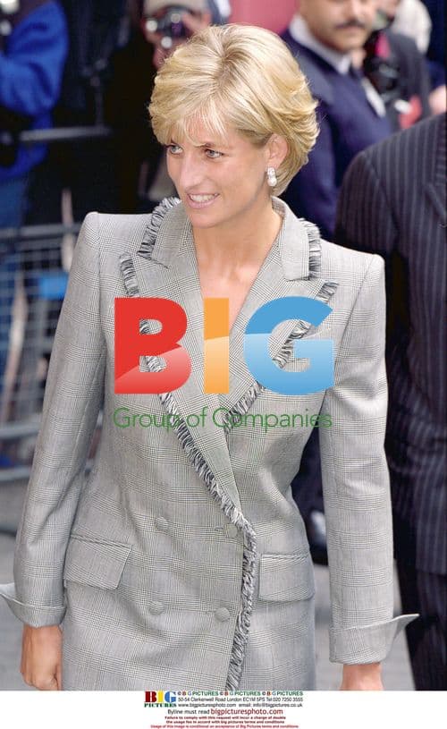 Princess Diana Meets Crowd After Hospital Visit