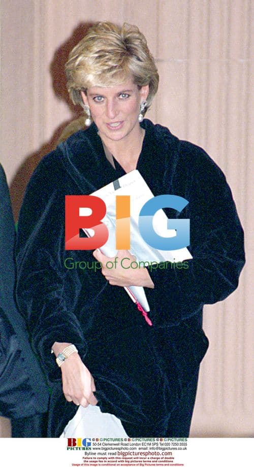 Diana Princess of Wales at Harrods